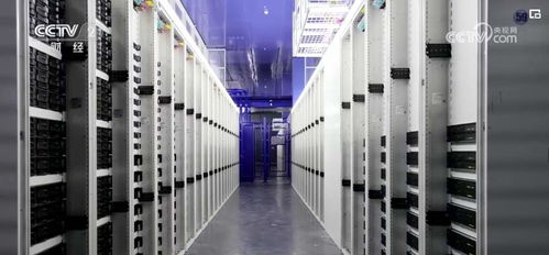 大模型浪潮下，算力租賃資源與人工智能基礎軟件開發(fā)成新焦點