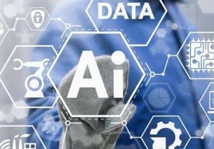 人工智能時代的隱私危機 基礎軟件開發的挑戰與應對之道